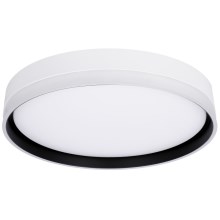 Φωτιστικό οροφής LED FLORIDA LED/24W/230V λευκό