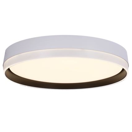 Φωτιστικό οροφής LED FLORIDA LED/24W/230V λευκό