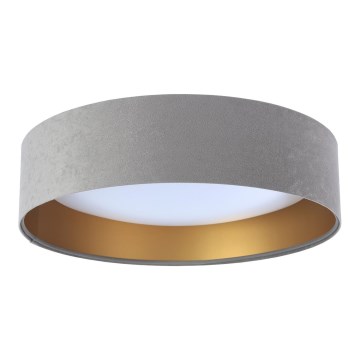 Φωτιστικό οροφής LED GALAXY 1xLED/24W/230V διάμ. 44 εκ. γκρι/χρυσό