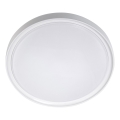 Φωτιστικό οροφής LED LED/18W/230V διάμετρος 30 cm λευκό