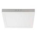 Φωτιστικό οροφής LED LED/6W/230V 4000K 12x12 cm λευκό