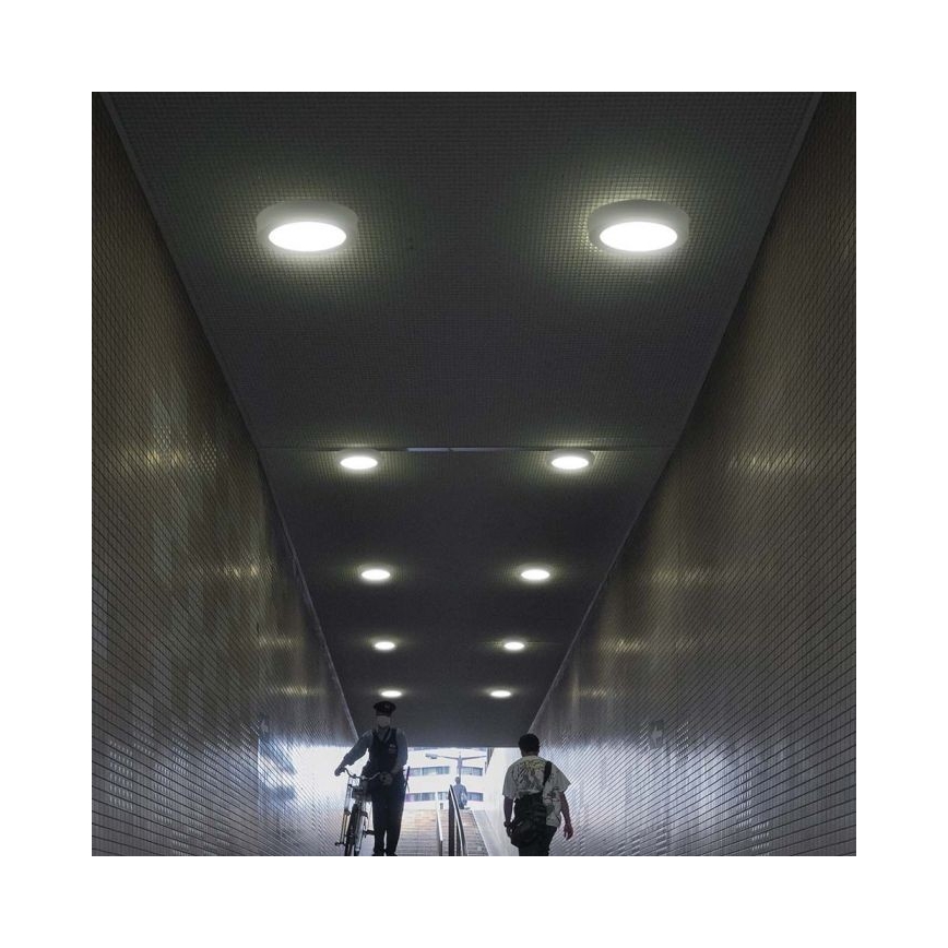 Φωτιστικό οροφής LED LED/6W/230V 6500K λευκό