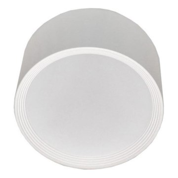 Φωτιστικό οροφής LED PERCI LED/30W/230V IP40 4000K λευκό