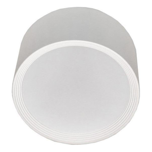 Φωτιστικό οροφής LED PERCI LED/30W/230V IP40 4000K λευκό
