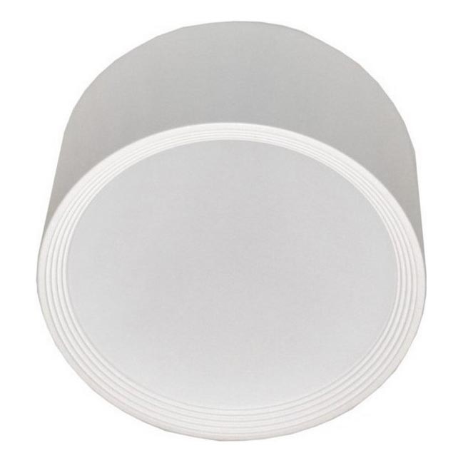 Φωτιστικό οροφής LED PERCI LED/30W/230V IP40 4000K λευκό