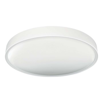 Φωτιστικό οροφής LED SAMER LED/40W/230V 4000K