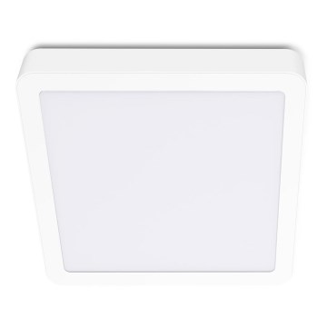 Φωτιστικό οροφής LED SIGARO SQUARE LED/18W/230V 4000K IP40