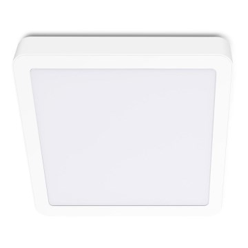 Φωτιστικό οροφής LED SIGARO SQUARE LED/24W/230V 4000K IP40