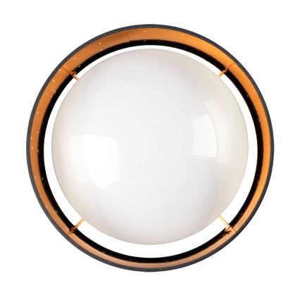 Φωτιστικό οροφής LED TULUZA LED/18W/230V διάμετρος 32 cm μαύρο