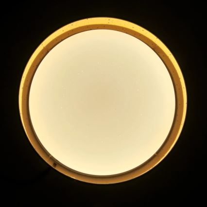 Φωτιστικό οροφής LED TULUZA LED/24W/230V διάμετρος 40 cm καφέ