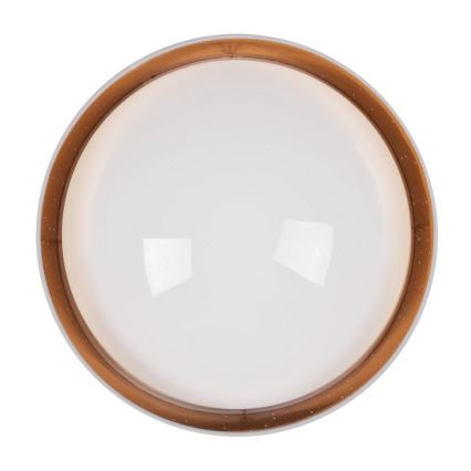 Φωτιστικό οροφής LED TULUZA LED/24W/230V διάμετρος 40 cm λευκό