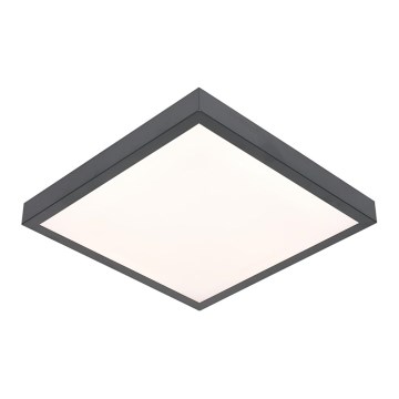 Φωτιστικό οροφής LED VITALI LED/24W/230V