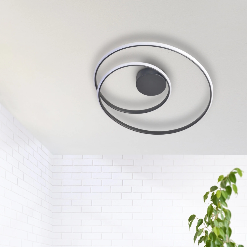 Φωτιστικό οροφής LED ZEFIRA LED/40W/230V 4000K διάμετρος 50 cm ανθρακί