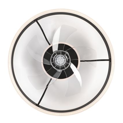 LED Φωτιστικό οροφής dimmable με ανεμιστήρα APOLLO LED/38W/230V μαύρο + τηλεχειριστήριο