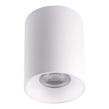 Φωτιστικό οροφής RITI 1xGU10/25W/230V λευκό