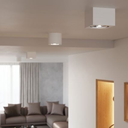 Φωτιστικό οροφής SEIDA 1xGU10/40W/230V