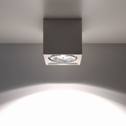 Φωτιστικό οροφής SEIDA 1xGU10/40W/230V