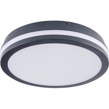 Φωτιστικό οροφής εξωτερικού χώρου LED BENO LED/24/30W/230V 3000/3500/4000K IP65 ανθρακί στρογγυλό