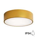 Φωτιστικό οροφής μπάνιου CLEO 2xE27/24W/230V δ. 30 cm χρυσό  IP54
