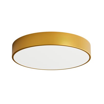 Φωτιστικό οροφής μπάνιου CLEO 4xE27/24W/230V διάμετρος 50 cm χρυσαφί IP54