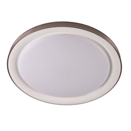 Φωτιστικό οροφής μπάνιου dimming LED GRAŻYNA LED/48W/230V 3000-6000K διάμετρος 41 cm IP44 γκρι + τηλεχειριστήριο