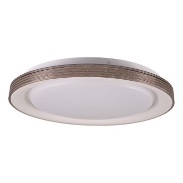 Φωτιστικό οροφής μπάνιου dimming LED GRAŻYNA LED/48W/230V 3000-6000K διάμετρος 41 cm IP44 γκρι + τηλεχειριστήριο