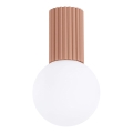 Φωτιστικό οροφής μπάνιου HALO 1xG9/8W/230V διάμετρος 12 cm IP44 καφέ