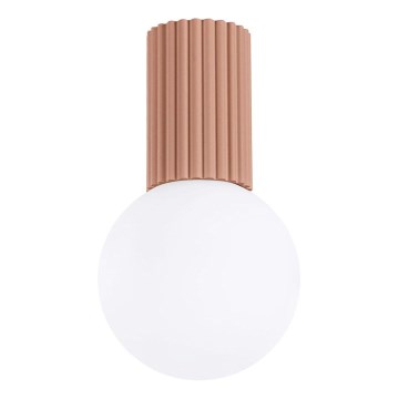 Φωτιστικό οροφής μπάνιου HALO 1xG9/8W/230V διάμετρος 12 cm IP44 καφέ