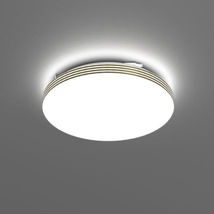 Φωτιστικό οροφής μπάνιου LED BEVER LED/10W/230V 4000K διάμετρος 26 cm IP44