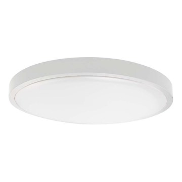 Φωτιστικό οροφής μπάνιου LED LED/18W/230V 4000K IP44 διάμετρος 22,5 cm λευκό