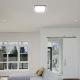 Φωτιστικό οροφής μπάνιου LED LED/24W/230V 6500K IP44 μαύρο