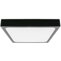 Φωτιστικό οροφής μπάνιου LED LED/30W/230V 6500K IP44 μαύρο