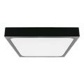 Φωτιστικό οροφής μπάνιου LED LED/30W/230V 6500K IP44 μαύρο