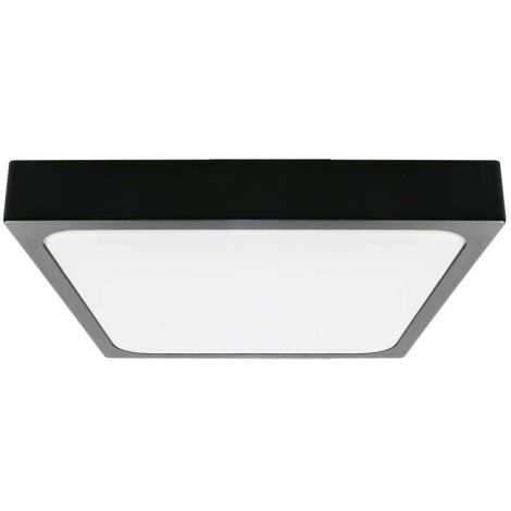 Φωτιστικό οροφής μπάνιου LED LED/30W/230V 6500K IP44 μαύρο