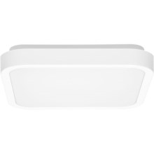 Φωτιστικό οροφής μπάνιου LED LUKY LED/12W/230V 4000K 25x25 cm IP44 λευκό