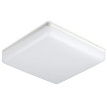 Φωτιστικό οροφής μπάνιου LED SAMSUNG CHIP LED/15W/230V 6500K IP44