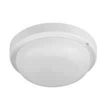 Φωτιστικό οροφής μπάνιου LED TOLU LED/9W/230V 4000K IP54 λευκό