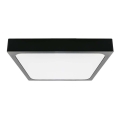 Φωτιστικό οροφής μπάνιου LED με αισθητήρα LED/18W/230V 4000K IP44 22,5x22,5 cm μαύρο