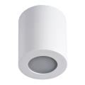Φωτιστικό οροφής μπάνιου SANI 1xGU10/10W/230V IP44 λευκό