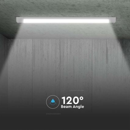 Φωτιστικό πάγκου κουζίνας LED LED/10W/230V 6500K 30 cm