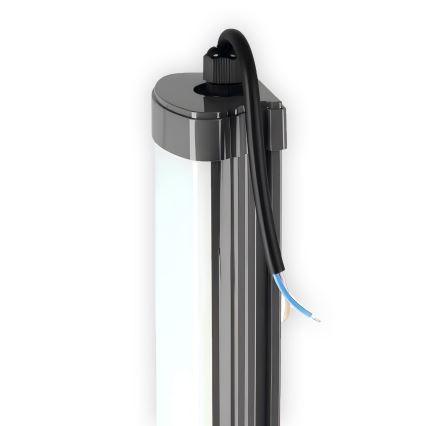 Φωτιστικό πάγκου κουζίνας LED LED/60W/230V 6000K 120 cm IP65 μαύρο