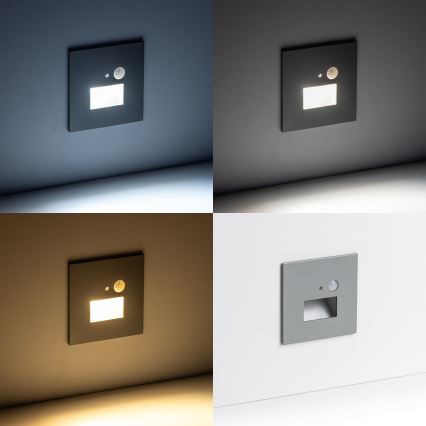 Φωτιστικό σκάλας LED με αισθητήρα κίνησης LED/1,5W/230V 3000K/4000K/6500K