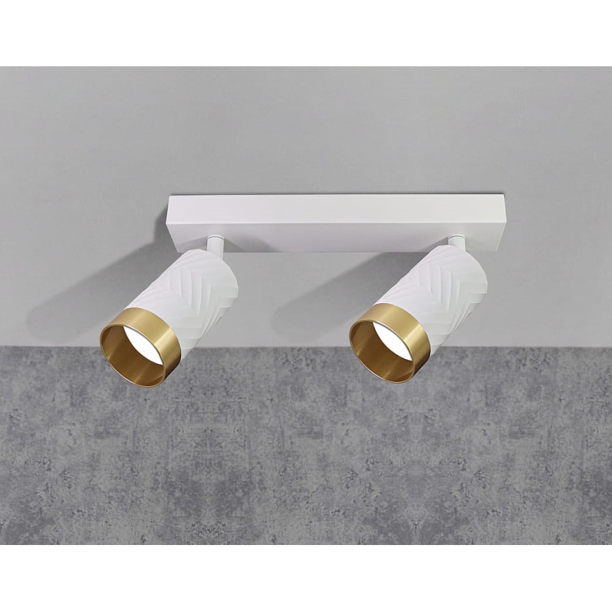 Φωτιστικό σποτ ARRAS 2xGU10/10W/230V λευκό
