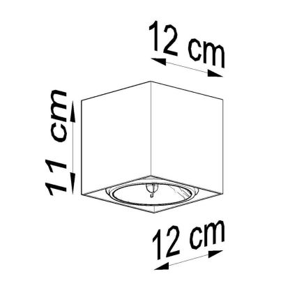 Φωτιστικό σποτ BLAKE 1xGU10/40W/230V