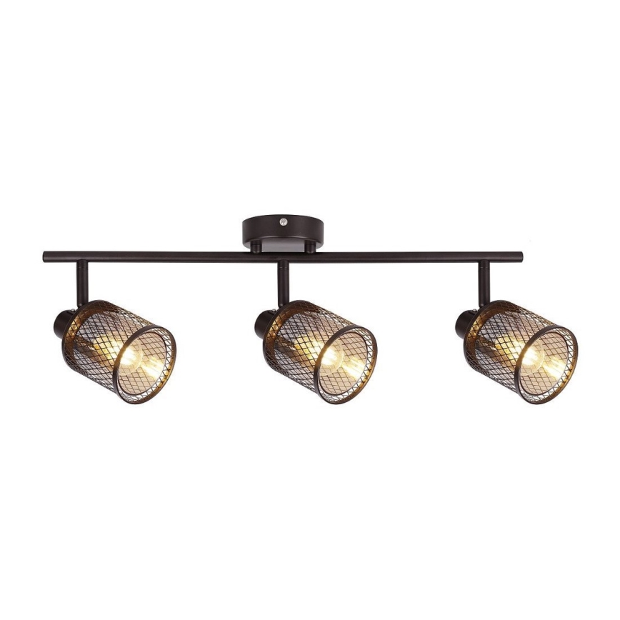 Φωτιστικό σποτ CANABERA 3xE14/40W/230V