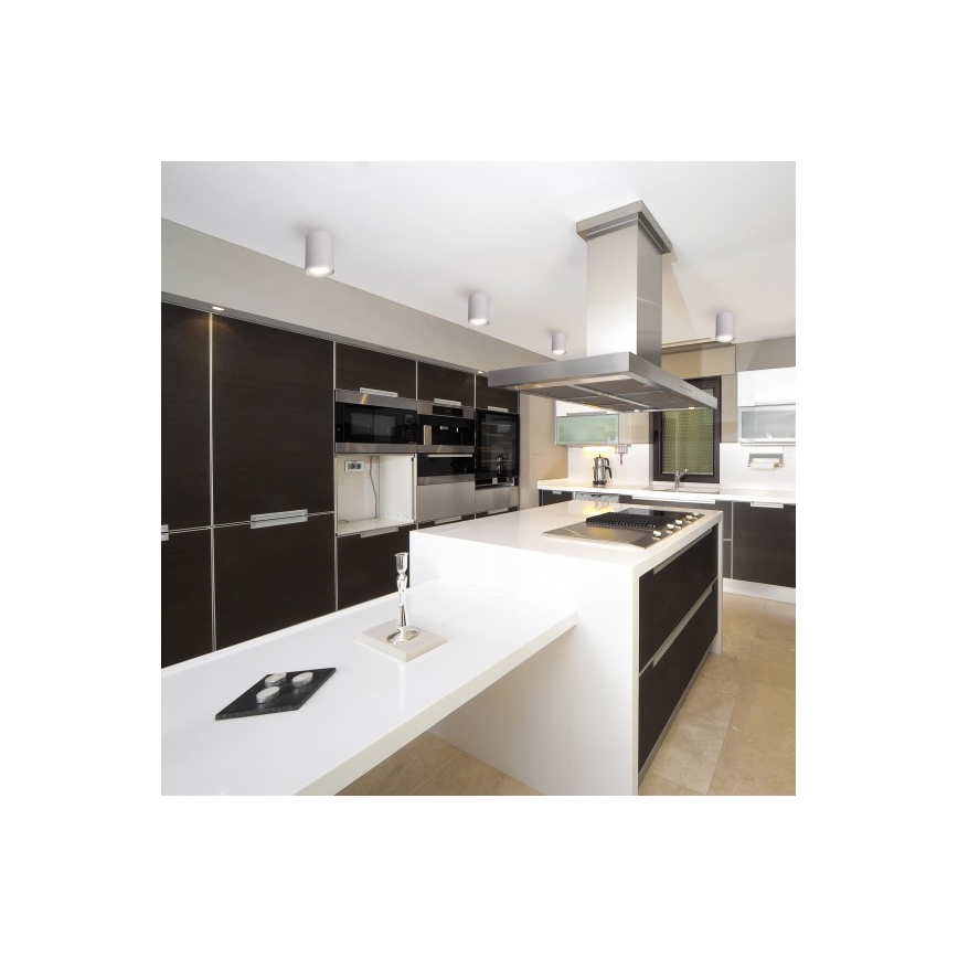 Φωτιστικό σποτ CHLOE 1xGU10/10W/230V