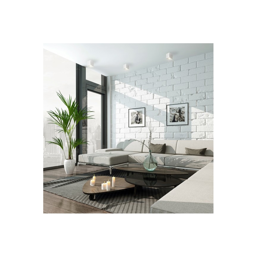 Φωτιστικό σποτ CHLOE 1xGU10/10W/230V