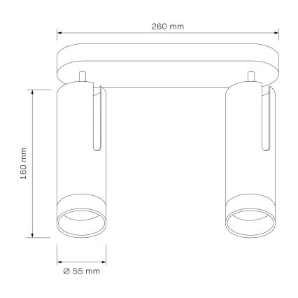Φωτιστικό σποτ FADO 2xGU10/10W/230V μαύρο