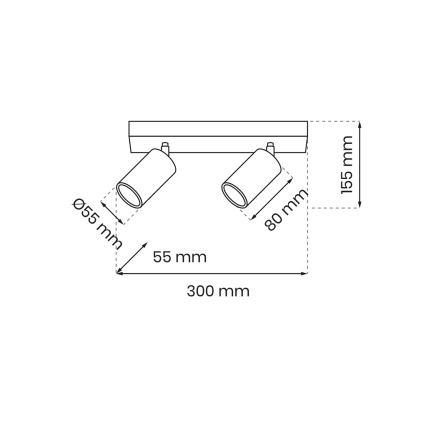 Φωτιστικό σποτ HUDSON 2xGU10/8W/230V λευκό