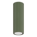 Φωτιστικό σποτ KARBON 1xGU10/10W/230V 20 cm πράσινο